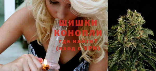 ГАЛЛЮЦИНОГЕННЫЕ ГРИБЫ Магас