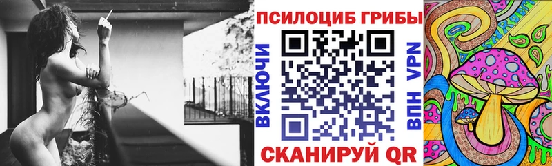 площадка телеграм  Качканар  Псилоцибиновые грибы прущие грибы  kraken сайт 